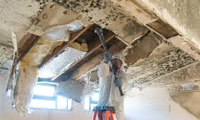 Best Asbestos and Lead Testing During Mold Inspection  in , DE